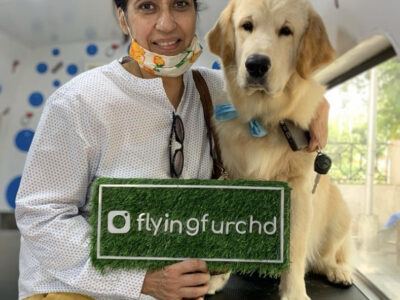 Flying Fur Chandigarh